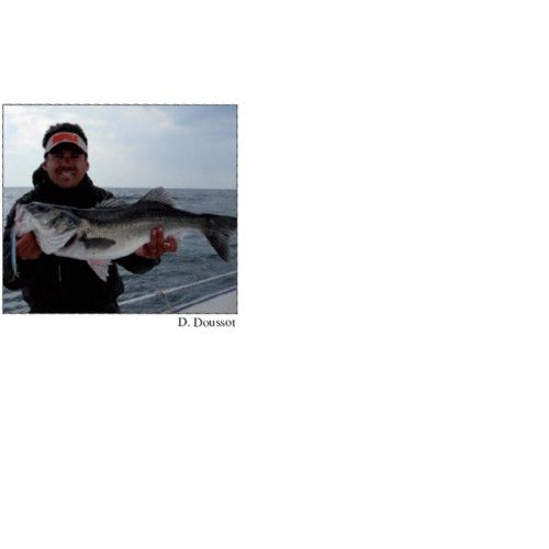 Rapala Leurres durs  MAXRAP - coloris BSBL - 11cm / 13g - profondeur de nage de 0.30 à 0.90m - 4