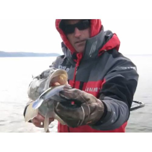 Rapala Leurres durs SHADOW RAP - coloris FT - 11cm / 12g - profondeur de nage de 0.60 à 1.20m - 4