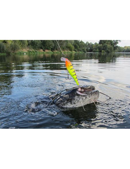 Rapala Leurres durs  SUPER SHAD RAP - coloris PEL - 14cm / 45g - profondeur de nage de 1.50 à 2.70m - 2