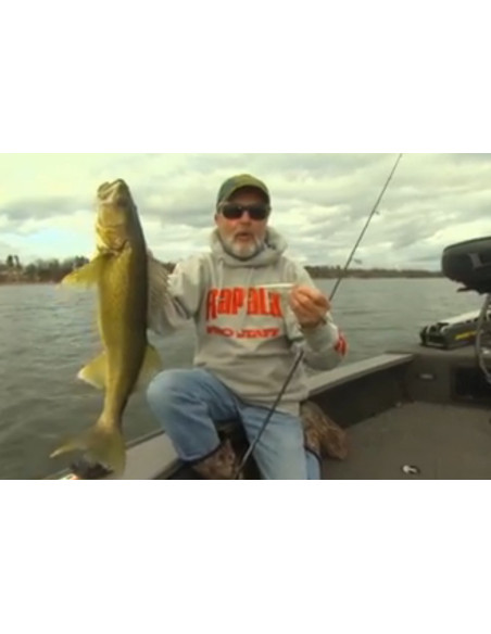 Rapala Leurres durs SCATTER RAP MINNOW - coloris PD - 11cm / 6g - profondeur de nage de 1.80 à 2.70m - 4