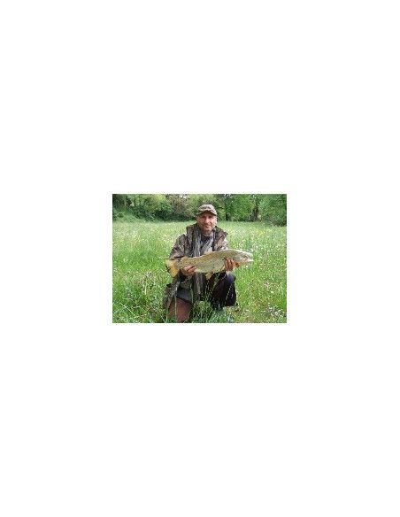 Rapala Leurres durs  SHAD RAP - coloris FT - 9cm / 12g - profondeur de nage de 2.40 à 4.50m - 4