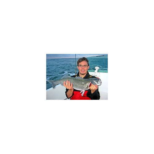 Rapala Leurres durs ORIGINAL FLOATER - coloris P - 7cm / 4g - profondeur de nage de 0.90 à 1.50m - 5