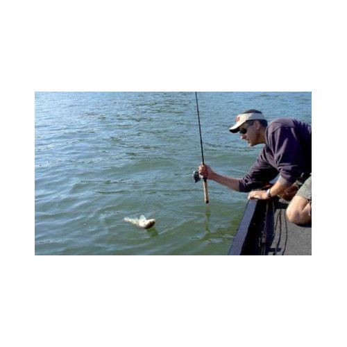 Rapala Leurre flottant JOINTED - coloris S -  9cm / 7g - profondeur de nage de 1.50 à 2.10m - 5