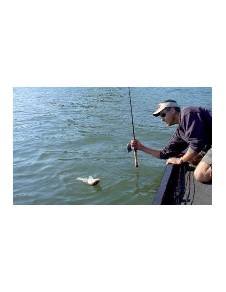 Rapala Leurre flottant JOINTED - coloris PK -  11cm / 9g - profondeur de nage de 1.20 à 2.40m - 5