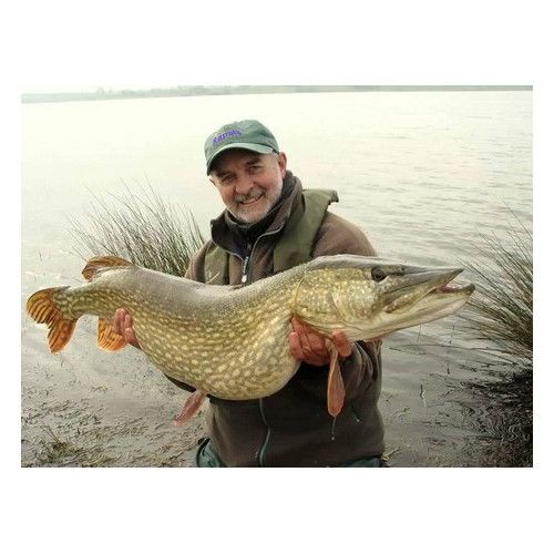 Rapala Leurres durs  SUPER SHAD RAP - coloris BG - 14cm / 45g - profondeur de nage de 1.50 à 2.70m - 5