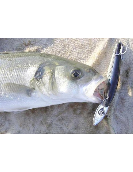 Rapala Leurres durs  COUNTDOWN MAGNUM  - coloris S -  9cm / 17g - profondeur de nage de 3.60 à 4.20m - 4