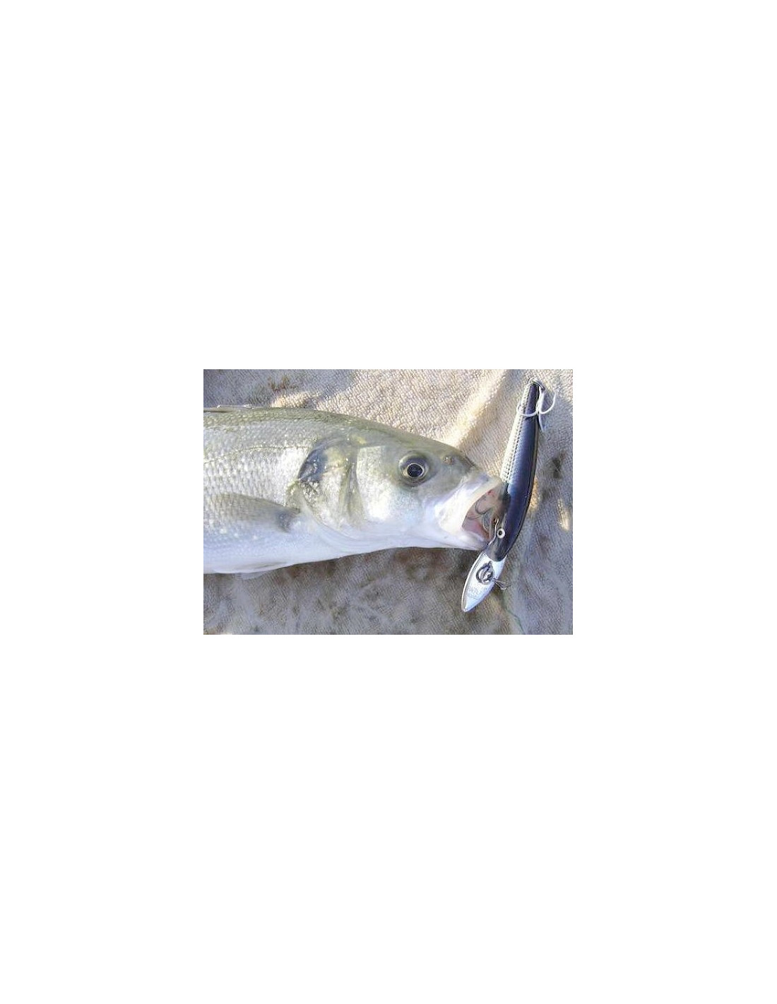 Ancien Leurre à Poisson Lance-glace En Bois - Vintage, Marque Decoy