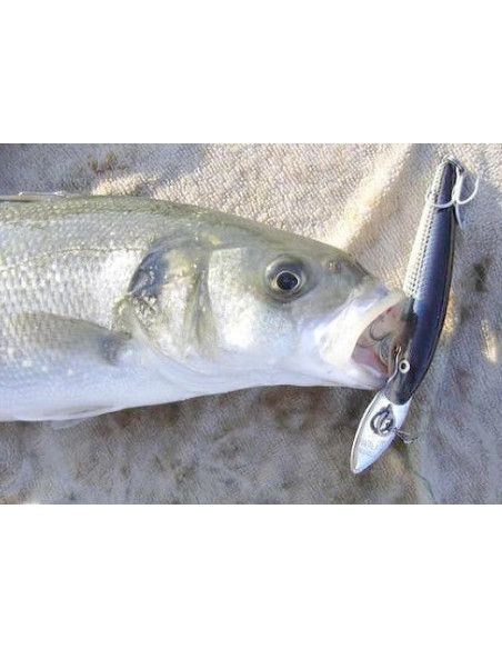 Rapala Leurres durs  COUNTDOWN MAGNUM  - coloris S -  18cm / 70g - profondeur de nage de 5.40 à 6.30m - 4
