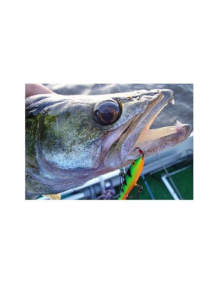 Rapala Jigs  JIGGING RAP - coloris P -  5cm / 9g - profondeur de nage : Variable - 4