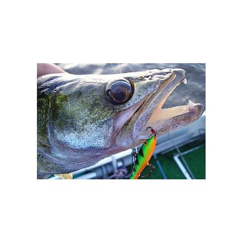 Rapala Jigs  JIGGING RAP - coloris GT -  5cm / 9g - profondeur de nage : Variable - 4