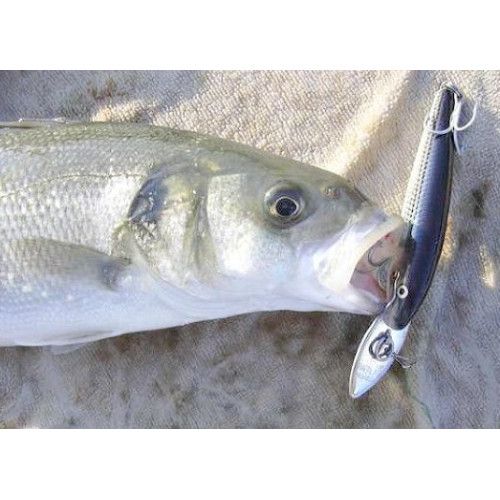 Rapala Leurres durs  COUNTDOWN MAGNUM  - coloris S -  11cm / 24g - profondeur de nage de 3.90 à 4.50m - 4