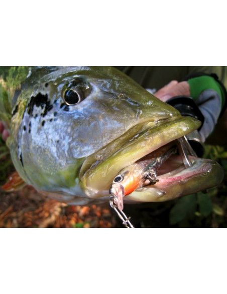 Rapala Leurres durs  ULTRA LIGHT MINNOW - Coloris CH - 6cm / 4g - profondeur de nage de 0.60 à 0.90m - 4