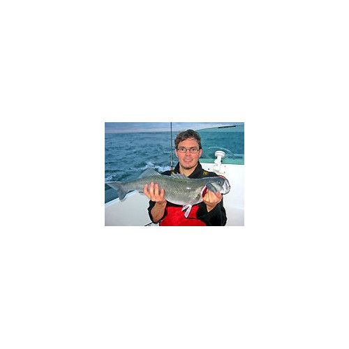 Rapala Leurres durs ORIGINAL FLOATER - coloris FT - 9cm / 5g - profondeur de nage de 0.90 à 1.50m - 5
