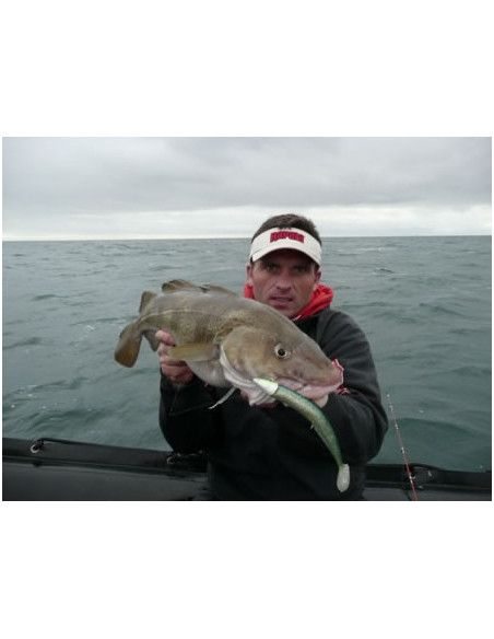 Storm Leurre souple ULTRA EEL - Coloris DGS- 25cm / 50g - profondeur de nage : Variable - 1 montÃ© +1 non montÃ© - 5