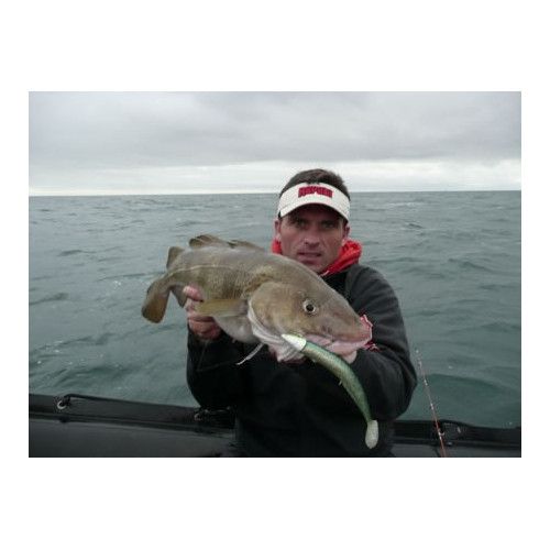 Storm Leurre souple ULTRA EEL - Coloris BSD - 25cm / 50g - profondeur de nage : Variable - 1 montÃ© +1 non montÃ© - 5