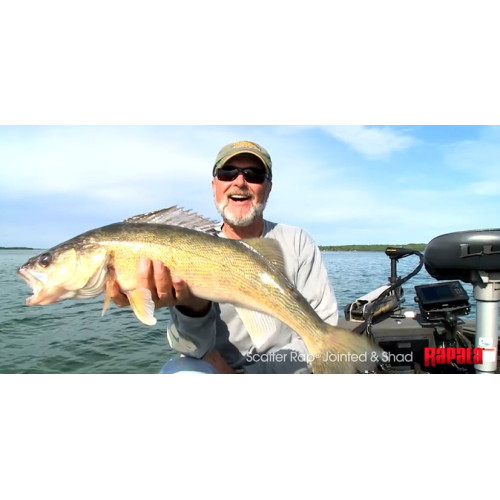 Rapala Leurre flottant SCATTER RAP JOINTED - coloris S - 9cm / 7g - profondeur de nage de 1.50 à 2.10m - 5