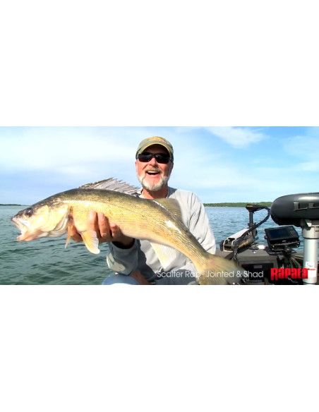 Rapala Leurre flottant SCATTER RAP JOINTED - coloris S - 9cm / 7g - profondeur de nage de 1.50 à 2.10m - 5