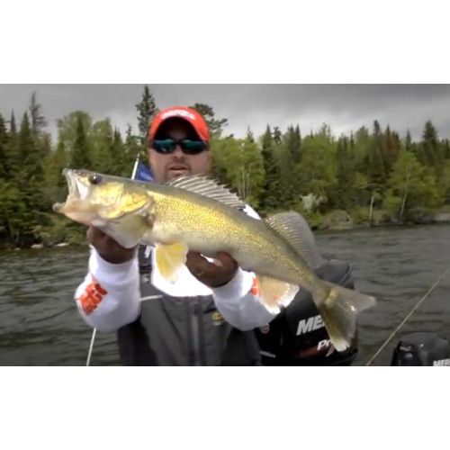 Rapala Leurres durs BX WAKING MINNOW - coloris GSH - 13cm / 22g - profondeur de nage : Surface - 4