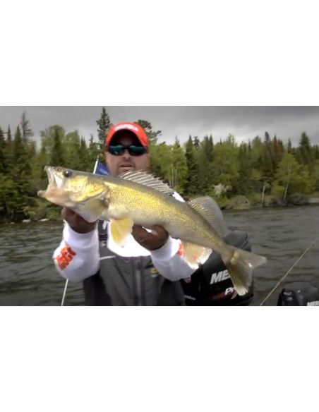 Rapala Leurres durs BX WAKING MINNOW - coloris YP - 13cm / 22g - profondeur de nage : Surface - 4