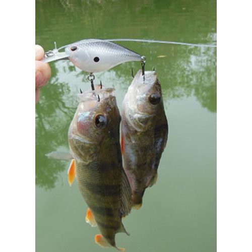 Storm Leurres durs ARASHI RATTLING DEEP - coloris 872 PRT - 6cm / 16g - profondeur de nage : 3.30m - 4
