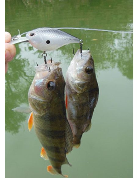 Storm Leurres durs ARASHI RATTLING DEEP - coloris 872 PRT - 6cm / 16g - profondeur de nage : 3.30m - 4