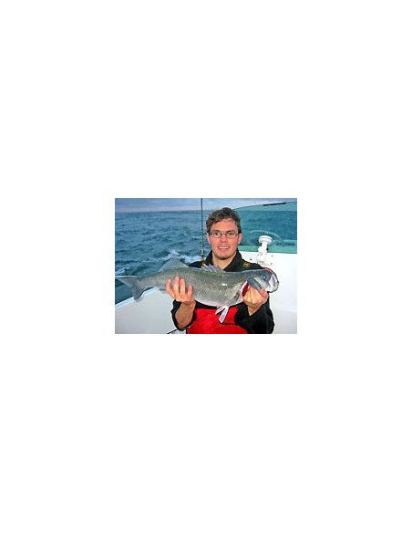 Rapala Leurres durs ORIGINAL FLOATER - coloris WAL - 3cm / 2g - profondeur de nage de 0.60 à 1.20m - 5