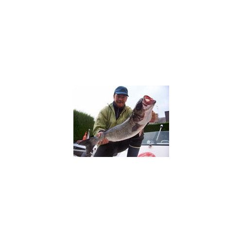 Rapala Leurres durs  X-RAP MAGNUM - coloris GGHU - 18cm / 97g - profondeur de nage 12m - 4