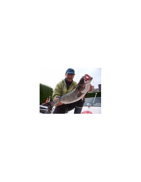 Rapala Leurres durs  X-RAP MAGNUM - coloris SBM - 18cm / 97g - profondeur de nage 12m - 4