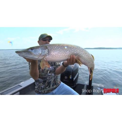 Rapala Jigs SNAP RAP - coloris - GYP - 6cm / 9g - profondeur de nage variable - 5