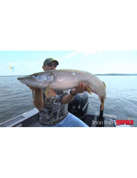 Rapala Jigs SNAP RAP - coloris - GYP - 6cm / 9g - profondeur de nage variable - 5