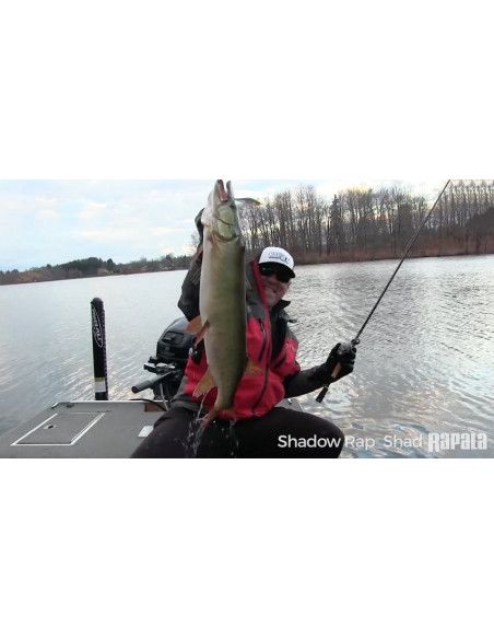 Rapala Leurres durs SHADOW RAP SHAD - coloris HLW - 9cm / 12g - profondeur de nage de 0.90 à 1.20m - 5