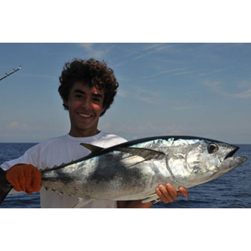 Rapala Leurres durs  HUSKY MAGNUM - coloris RH - 16cm / 67g - profondeur de nage 7.5m - 5