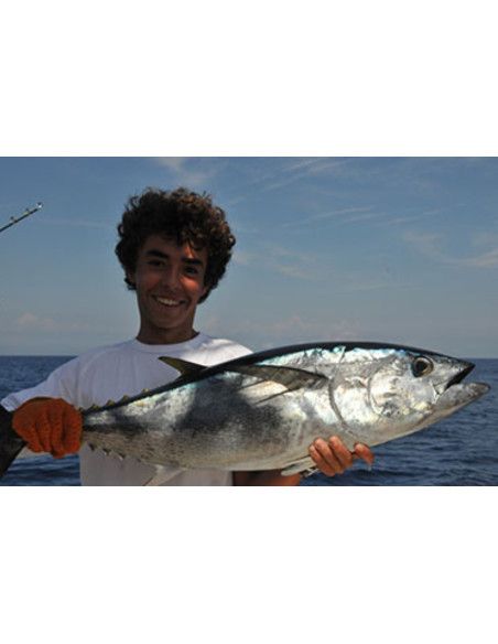 Rapala Leurres durs  HUSKY MAGNUM - coloris RH - 16cm / 67g - profondeur de nage 7.5m - 5