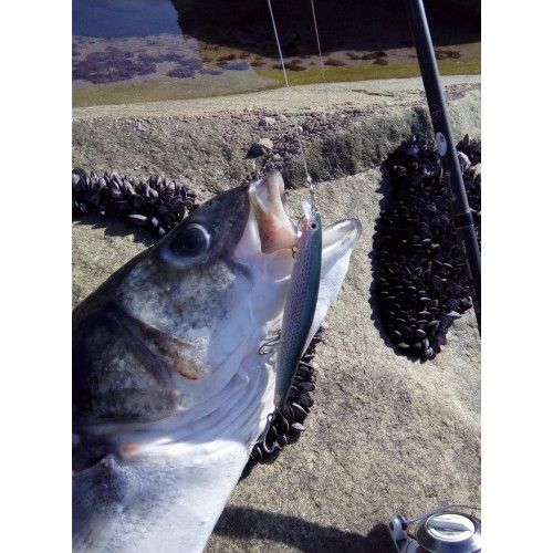 Rapala Leurres durs MAXRAP LONG RANGE MINNOW - coloris MUL - 12cm / 20g - profondeur de nage : 1.20m - 4