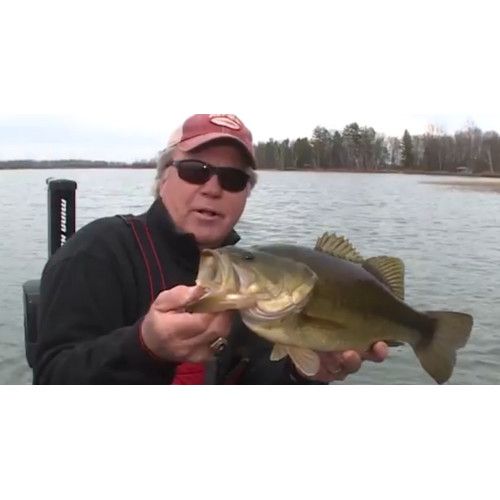 Rapala Leurres durs SHADOW RAP - coloris FT - 11cm / 12g - profondeur de nage de 0.60 à 1.20m - 5