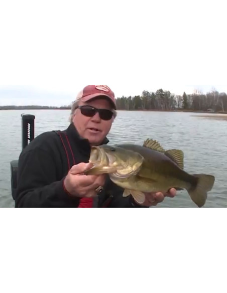 Rapala Leurres durs SHADOW RAP DEEP - coloris FT - 11cm / 13g - profondeur de nage de 1.20 à 1.80m - 5