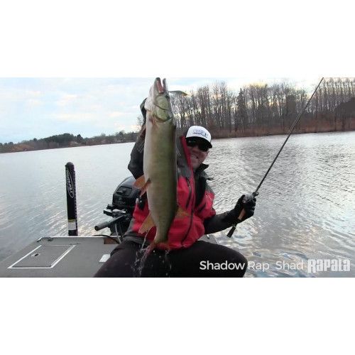 Rapala Leurres durs SHADOW RAP SHAD - coloris FT - 9cm / 12g - profondeur de nage de 0.90 à 1.20m - 5