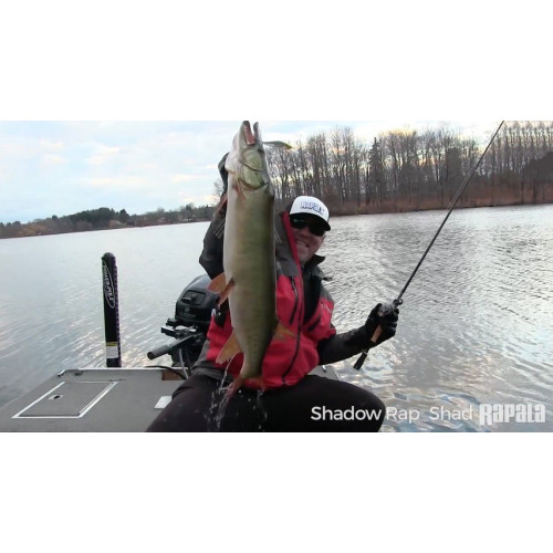 Rapala Leurres durs SHADOW RAP SHAD DEEP - coloris FT - 9cm / 12g - profondeur de nage de 1.50 à 1.80m - 5