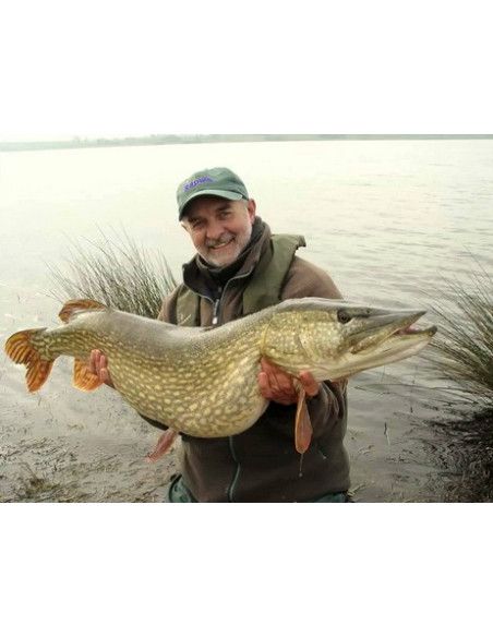 Rapala Leurres durs  SUPER SHAD RAP - coloris PEL - 14cm / 45g - profondeur de nage de 1.50 à 2.70m - 3