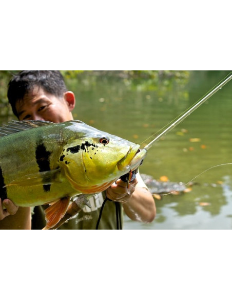 Rapala Jigs  JIGGING RAP - coloris CLN - 7cm / 18g - profondeur de nage : Variable - 5