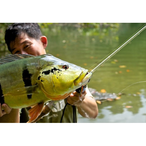Rapala Jigs  JIGGING RAP - coloris NP -  7cm / 18g - profondeur de nage : Variable - 5
