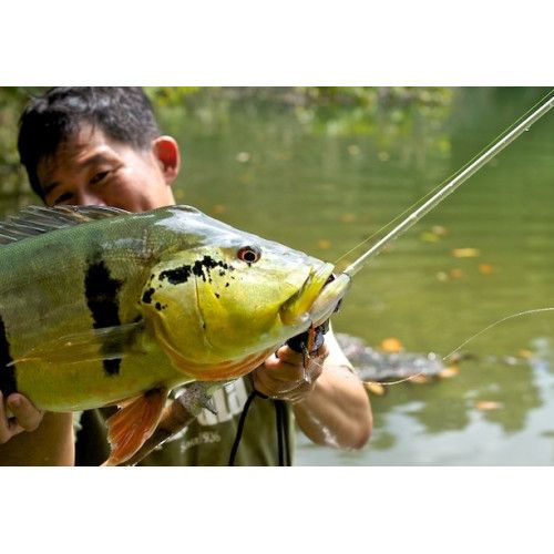 Rapala Jigs  JIGGING RAP - coloris CLN - 9cm / 25g - profondeur de nage : Variable - 5