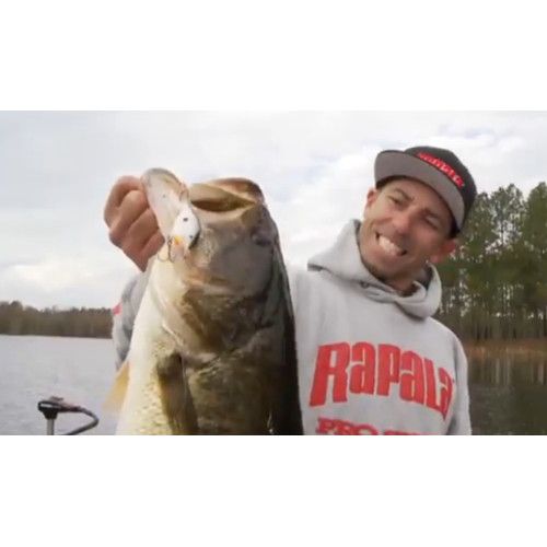 Rapala Leurres durs  SCATTER RAP CRANK - coloris HSD - 5cm / 9g - profondeur de nage de 1.80 à 2.40m - 6