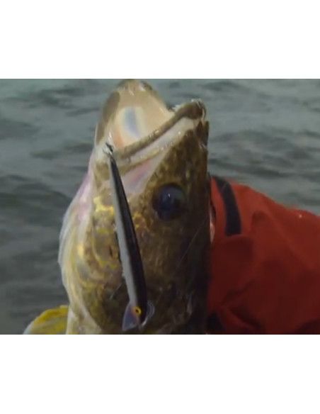 Rapala Leurres durs SCATTER RAP MINNOW - coloris CLN - 11cm / 6g - profondeur de nage de 1.80 à 2.70m - 6