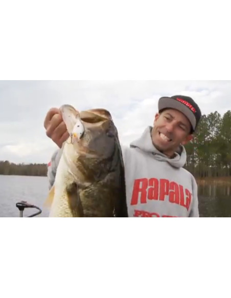 Rapala Leurres durs  SCATTER RAP CRANK SHALLOW - coloris BBH - 5cm / 9g - profondeur de nage de 1.20 à 1.80m - 6