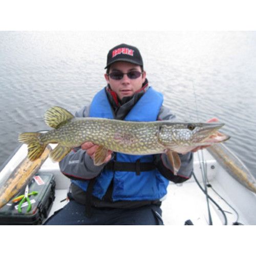Rapala Leurres durs BX WAKING MINNOW - coloris GSH - 13cm / 22g - profondeur de nage : Surface - 5
