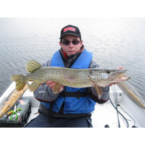 Rapala Leurres durs BX WAKING MINNOW - coloris SMT - 13cm / 22g - profondeur de nage : Surface - 6