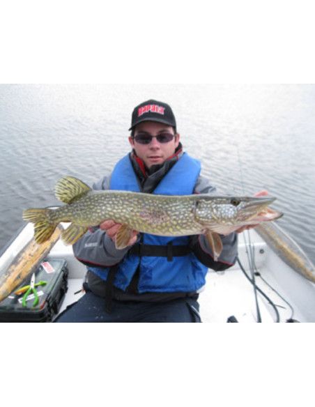 Rapala Leurres durs BX WAKING MINNOW - coloris SMT - 13cm / 22g - profondeur de nage : Surface - 6