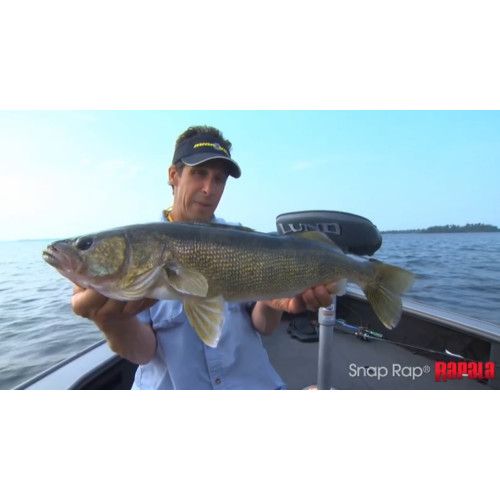 Rapala Jigs SNAP RAP - coloris - GYP - 6cm / 9g - profondeur de nage variable - 6