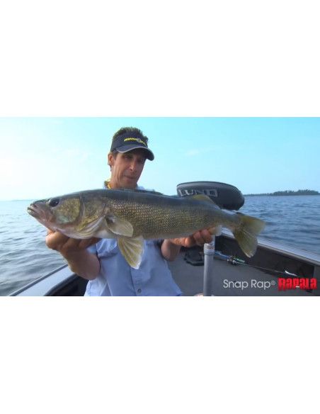 Rapala Jigs SNAP RAP - coloris - GYP - 6cm / 9g - profondeur de nage variable - 6